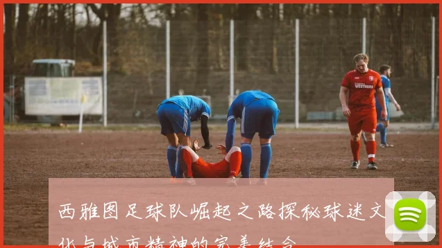 西雅图足球队崛起之路探秘球迷文化与城市精神的完美结合