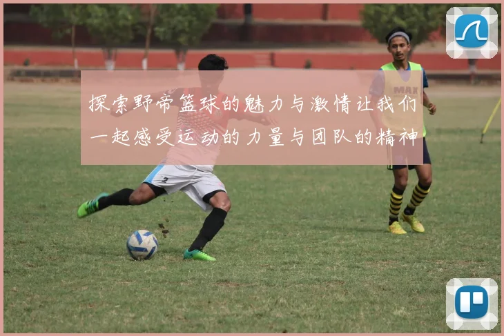 探索野帝篮球的魅力与激情让我们一起感受运动的力量与团队的精神