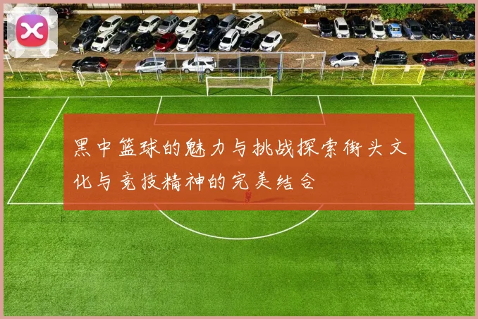 黑中篮球的魅力与挑战探索街头文化与竞技精神的完美结合