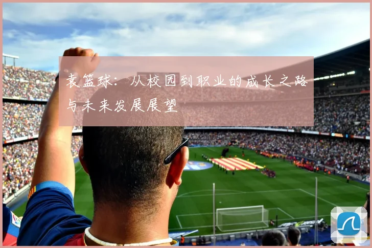 袁篮球：从校园到职业的成长之路与未来发展展望