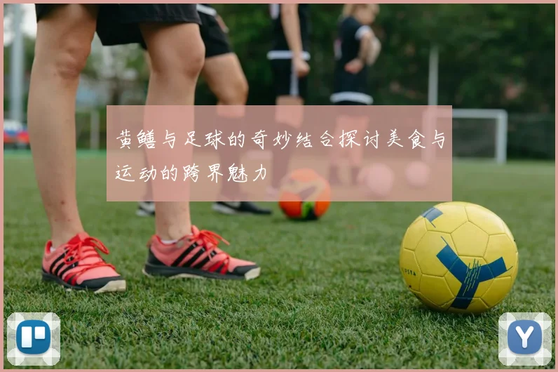 黄鳝与足球的奇妙结合探讨美食与运动的跨界魅力