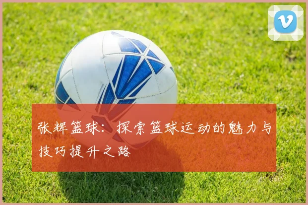 张辉篮球：探索篮球运动的魅力与技巧提升之路