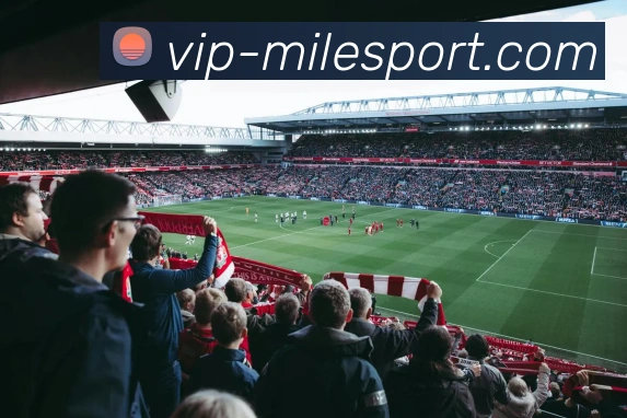 米乐体育品牌故事