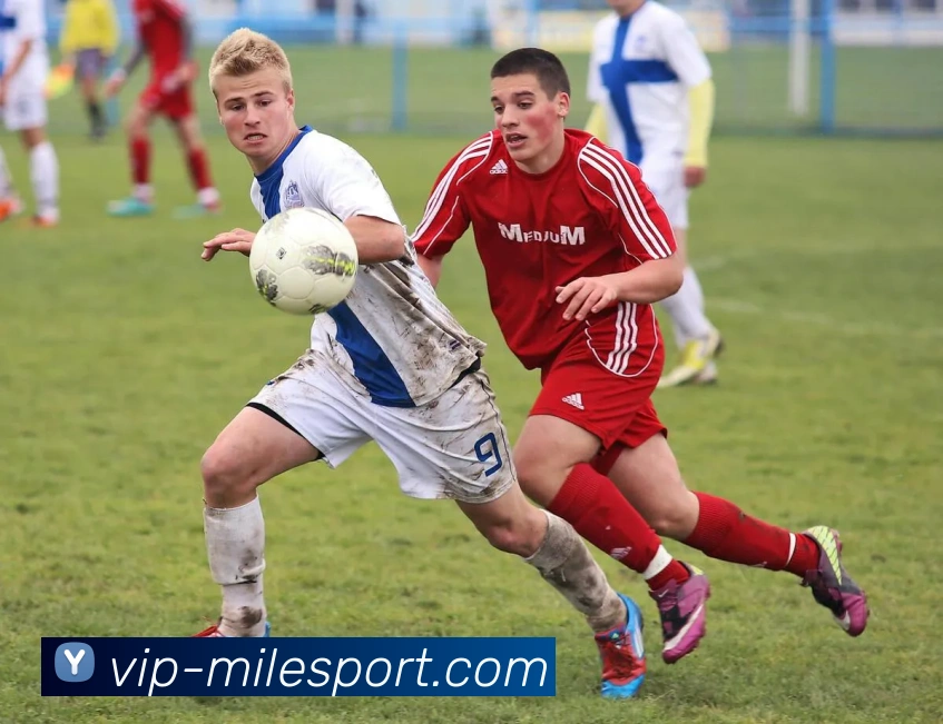 米乐体育服务体系